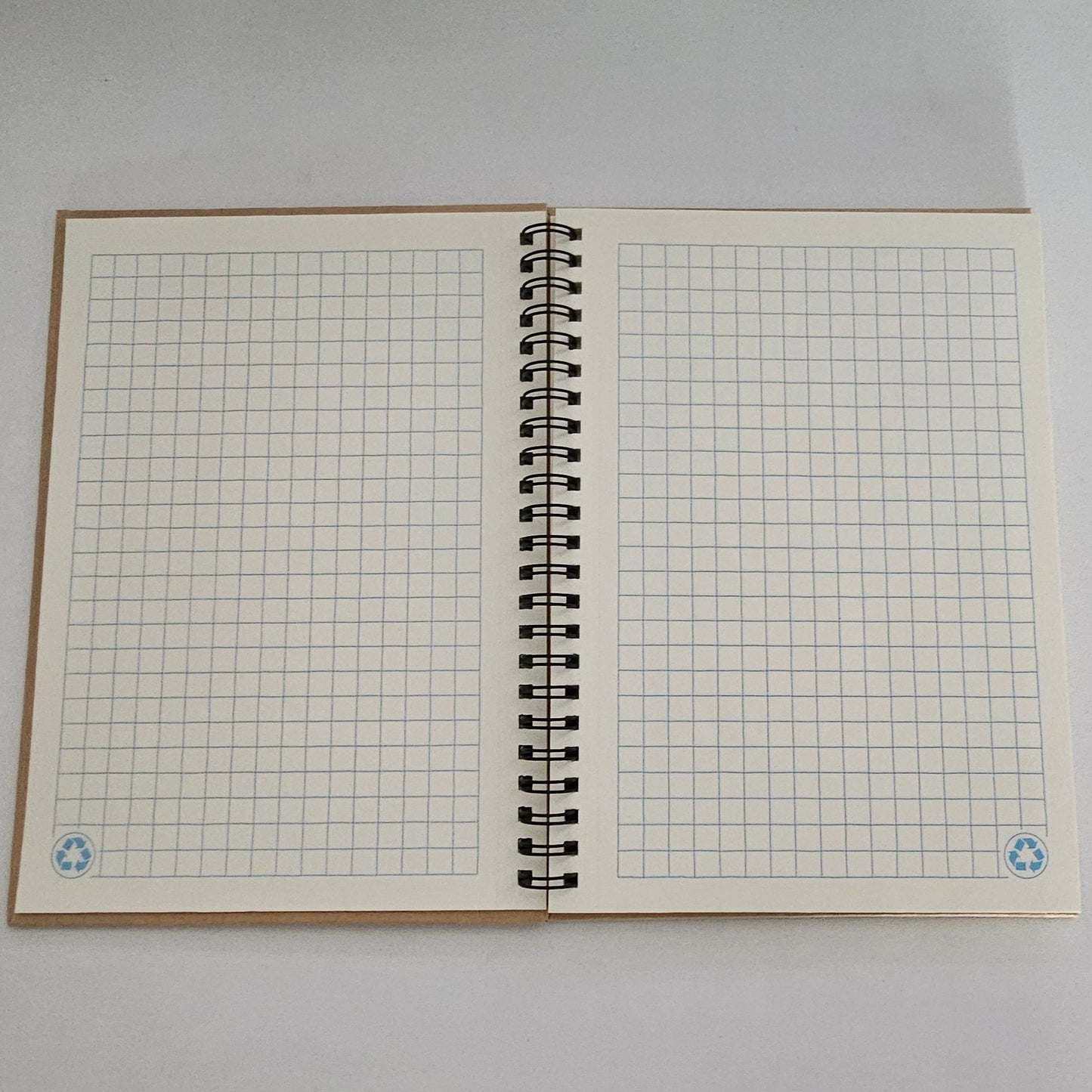 Cuaderno me comí tus zapatos
