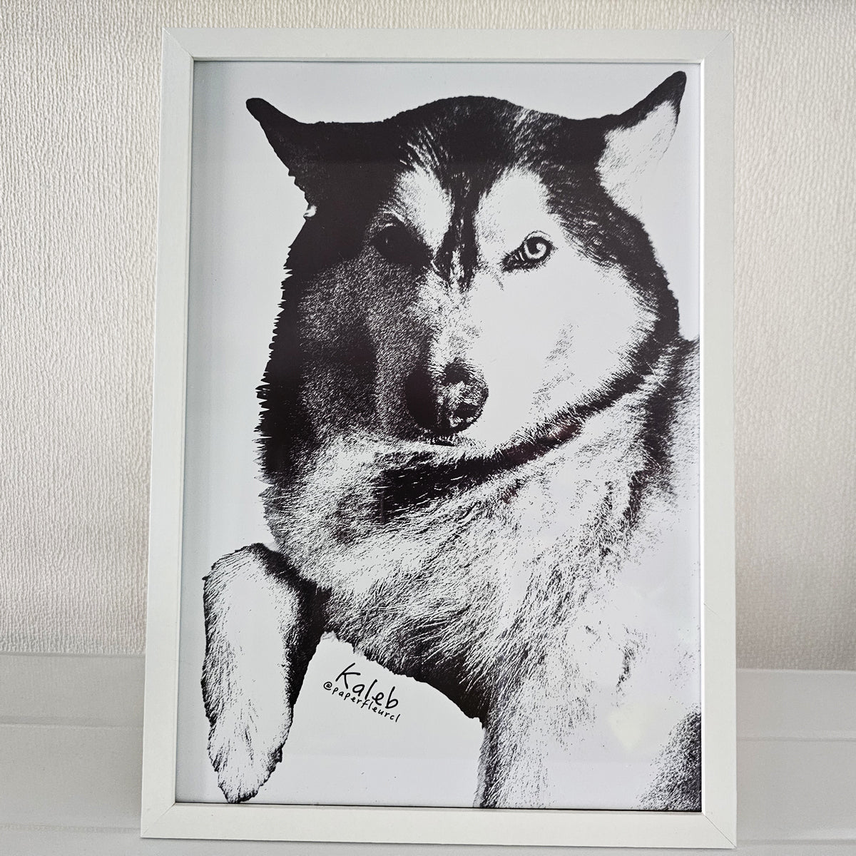 Cuadro personalizable mascota blanco y negro