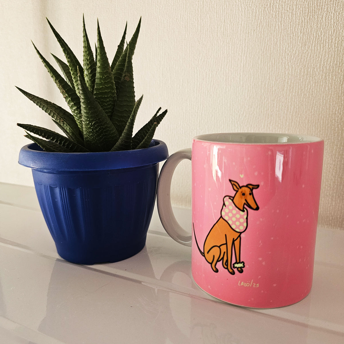 Colección LazoFer