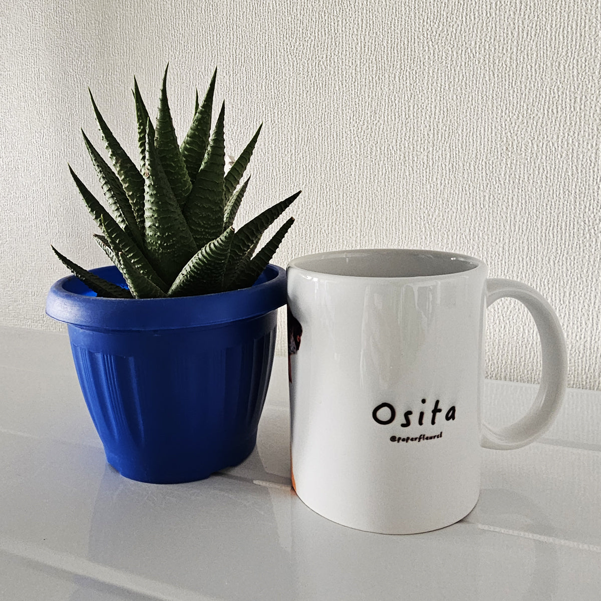 Taza mascota personalizada