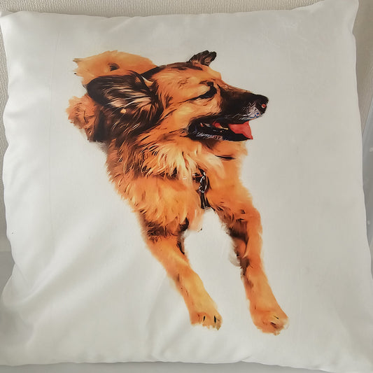 Cojín mascota personalizable