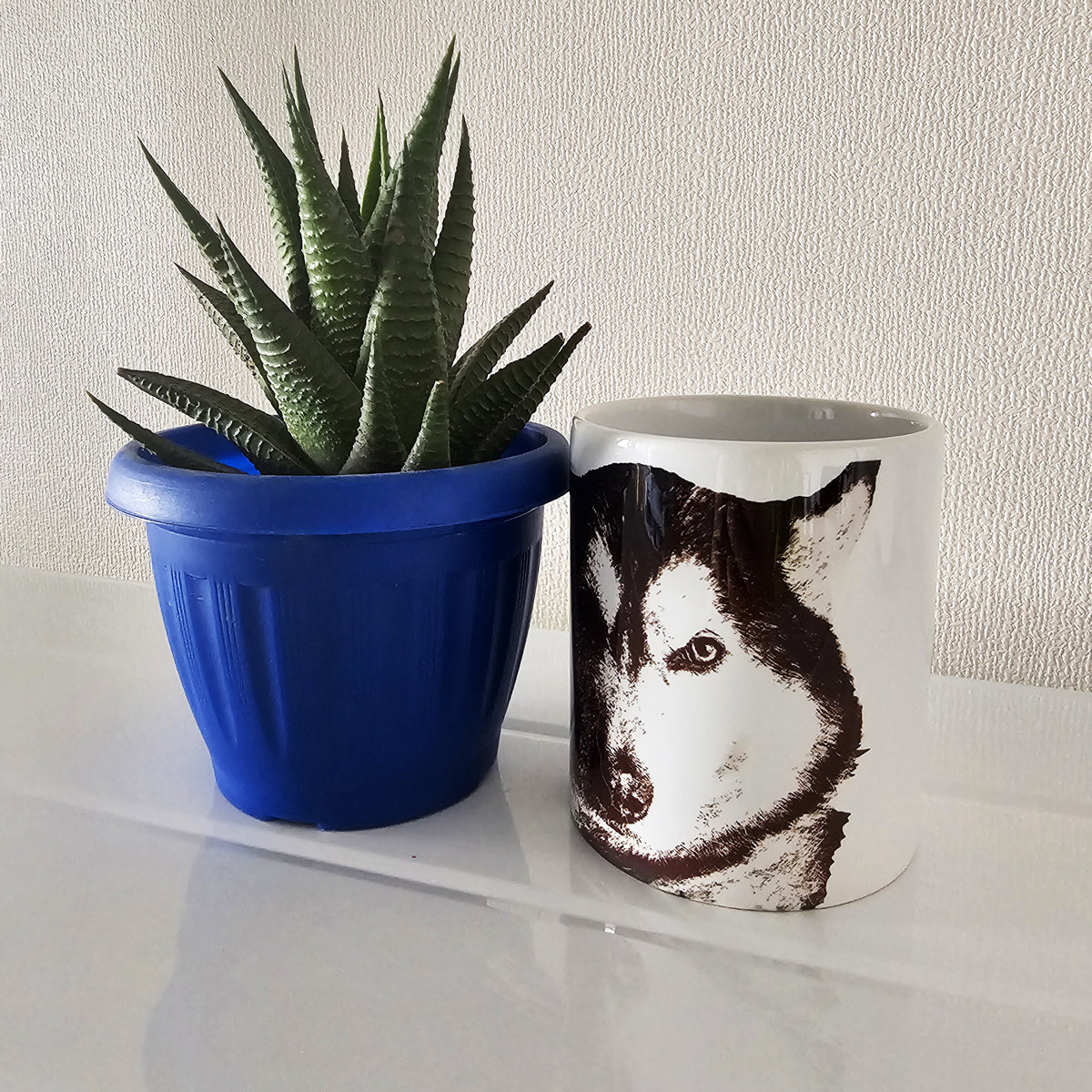 Taza mascota personalizada